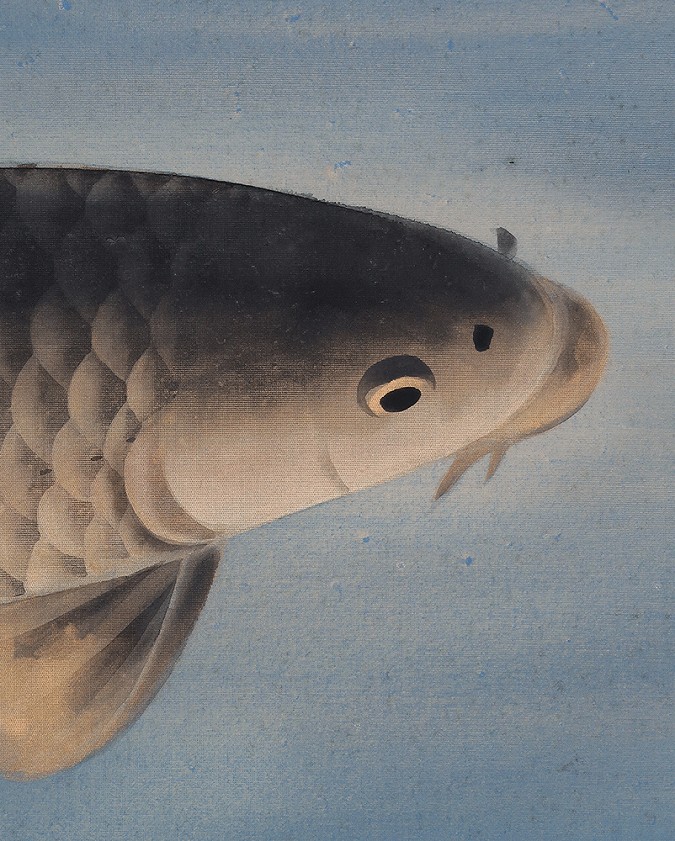 三上巴峡 鯉 | 掛軸(掛け軸)販売／表装ご依頼は掛軸いっぷく掛軸