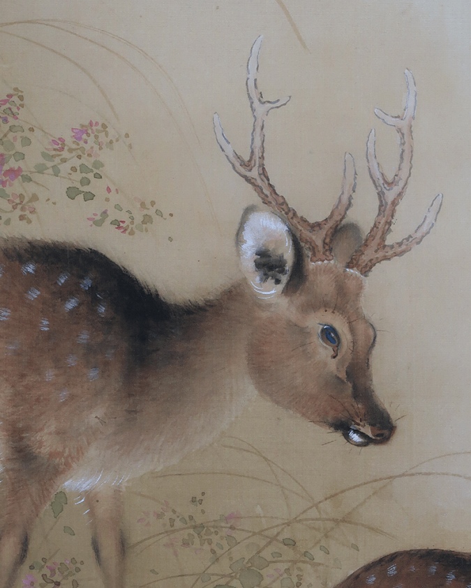 波多野一岳 秋草遊鹿 | 掛軸(掛け軸)販売／表装ご依頼は掛軸いっぷく