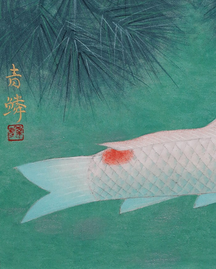 富永青鱗 鯉 「F6号」 | 掛軸(掛け軸)販売／表装ご依頼は掛軸いっぷく