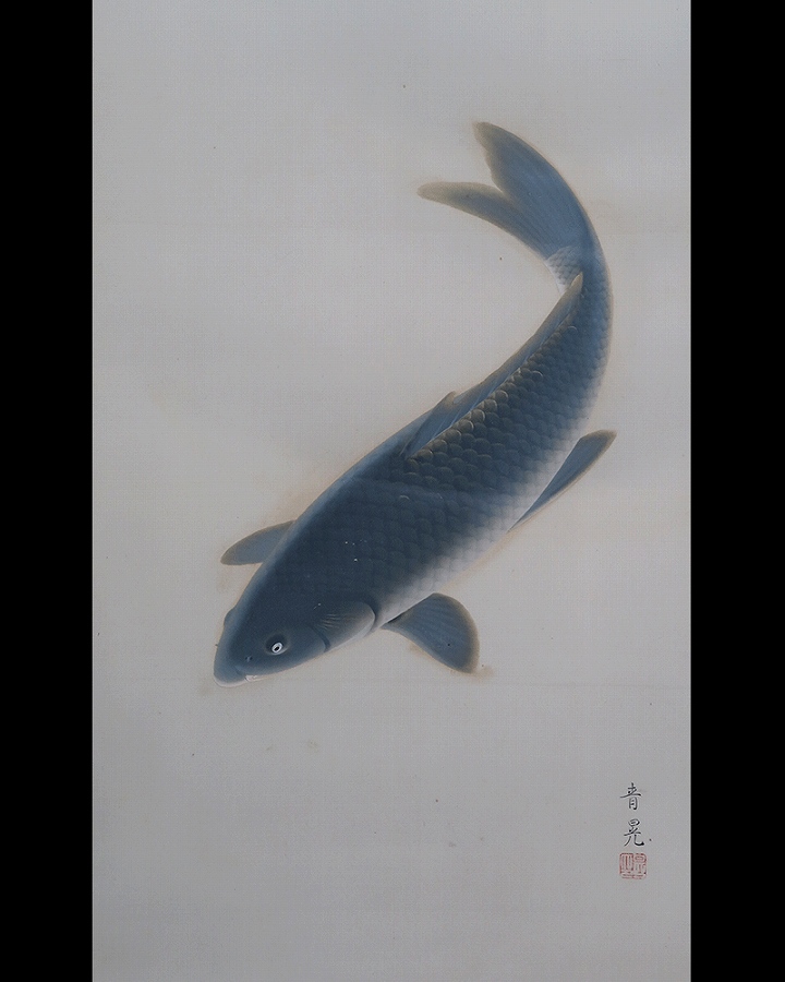 田之口春晃 鯉 | 掛軸(掛け軸)販売／表装ご依頼は掛軸いっぷく掛軸