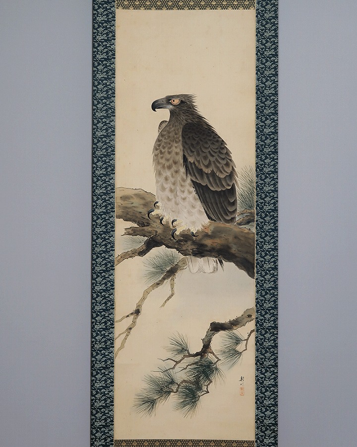 西野新川 鷹図 | 掛軸(掛け軸)販売／表装ご依頼は掛軸いっぷく掛軸