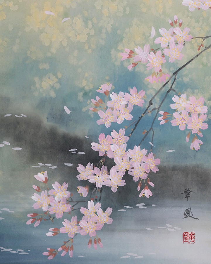 出口華凰 桜 | 掛軸(掛け軸)販売／表装ご依頼は掛軸いっぷく掛軸