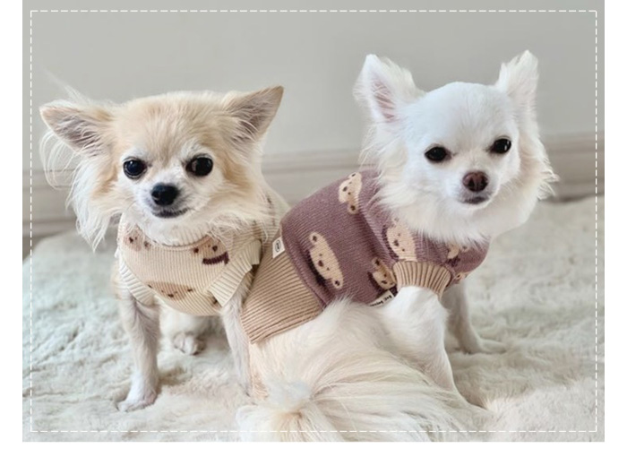 マフラーワンちゃんニット 可愛い小型犬の洋服通販 鎌倉ドッグ