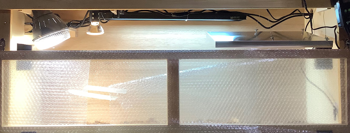 かめぢから飼育セット120㎝特注ナチュラル/ZOOMED – 完全予約制 かめぢから