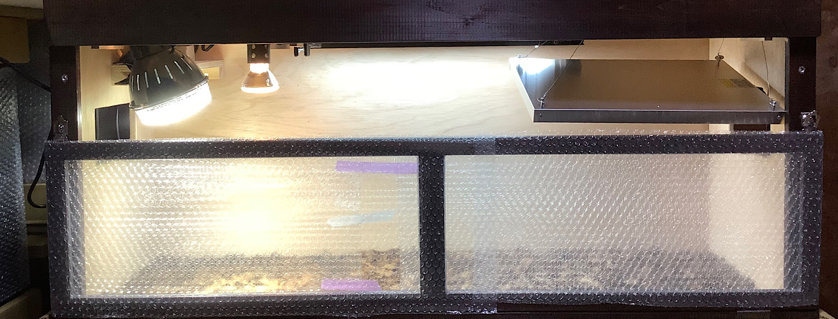 かめぢから飼育セット1200。 – 完全予約制 かめぢから