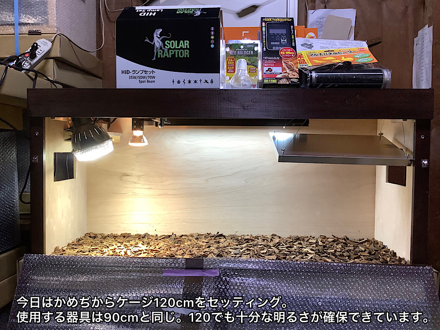 かめぢから飼育セット1200。 – 完全予約制 かめぢから