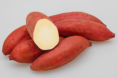 栗かぐや® | カネコ種苗株式会社 | 未来をひらく・・カネコ交配