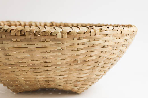 沖縄 ホウライチク バーキ (大)