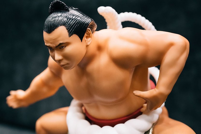 異色の「千代の富士」フィギュア土俵入り アポなしで女将さん訪問