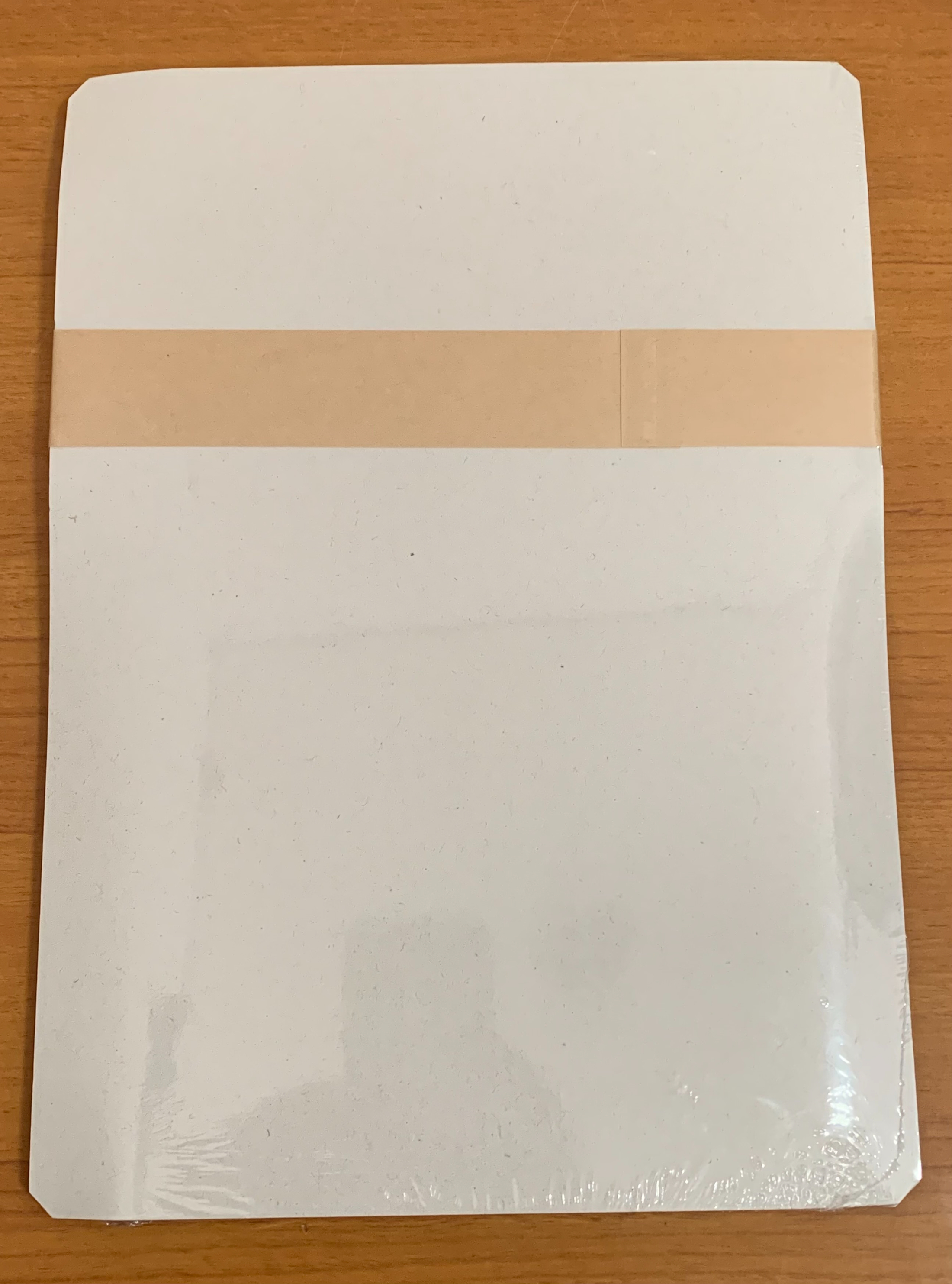 郵便書簡 簡易書簡 ミニレター 100枚 未使用・未開封 | レターパック類