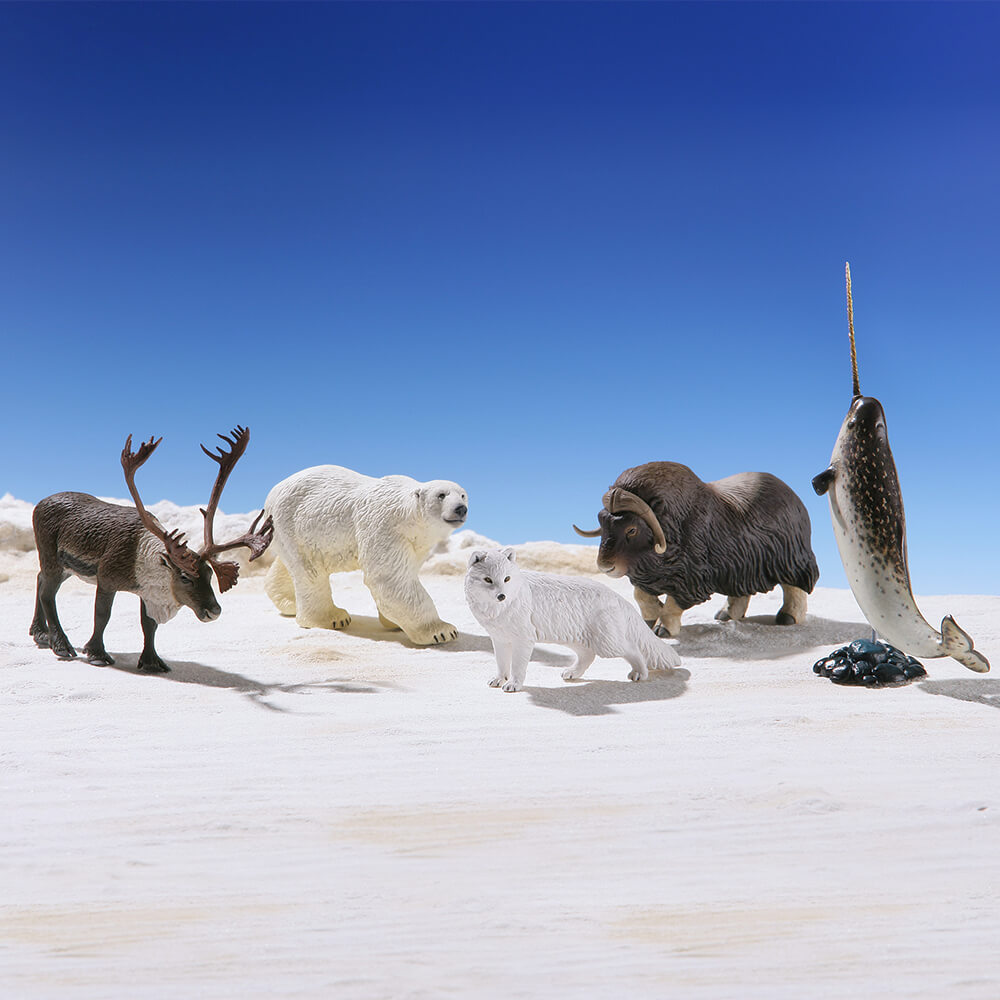 miniQ WILD RUSH 真・世界動物誌Ⅲ ～北極圏編～ 全5種 / 1個400円