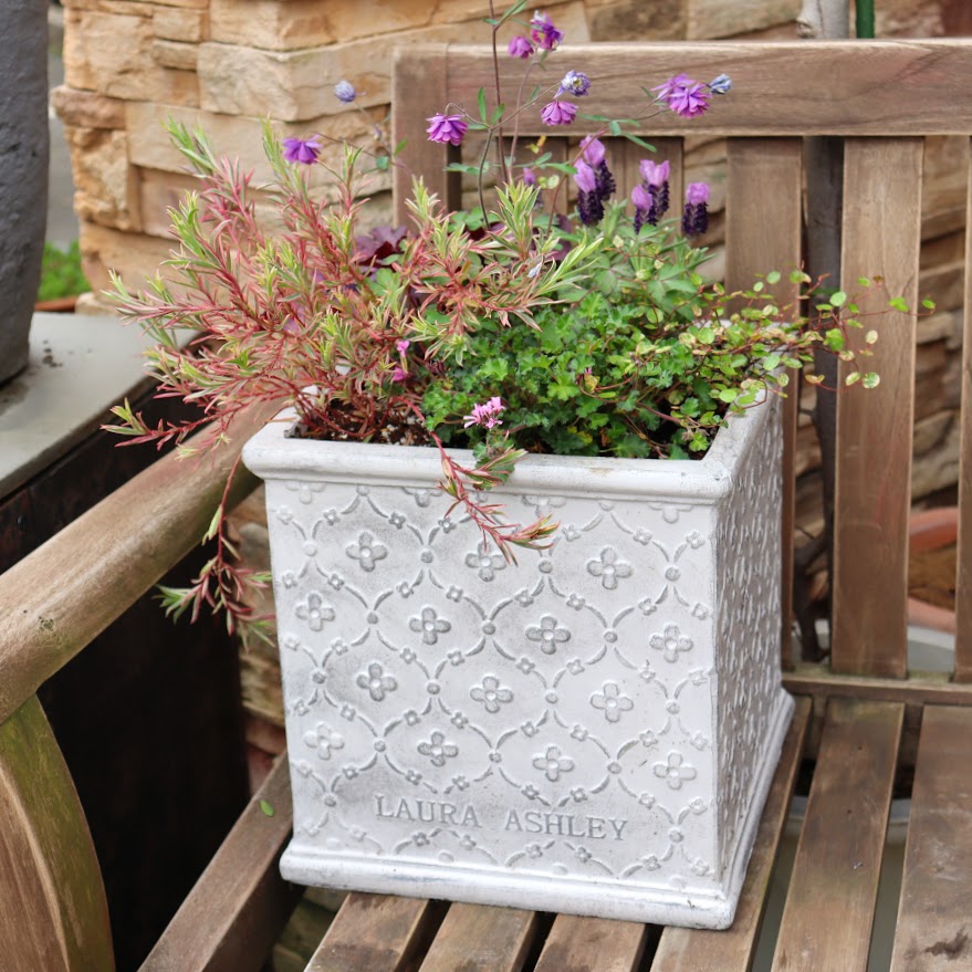 Laura Ashley Cube Light ペンブローク ホワイト Mサイズ | 福井の