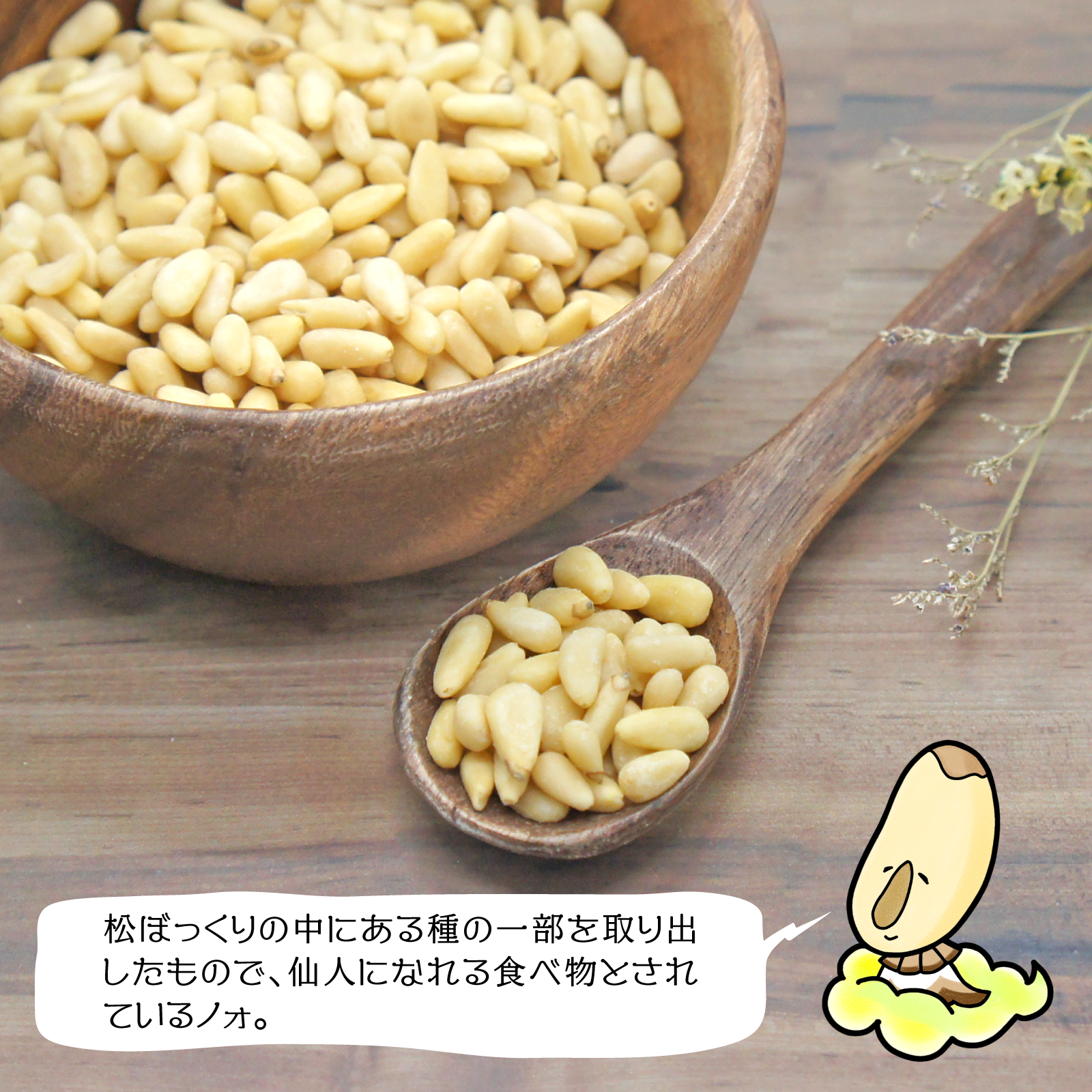 matsunomi_chara.png?v=