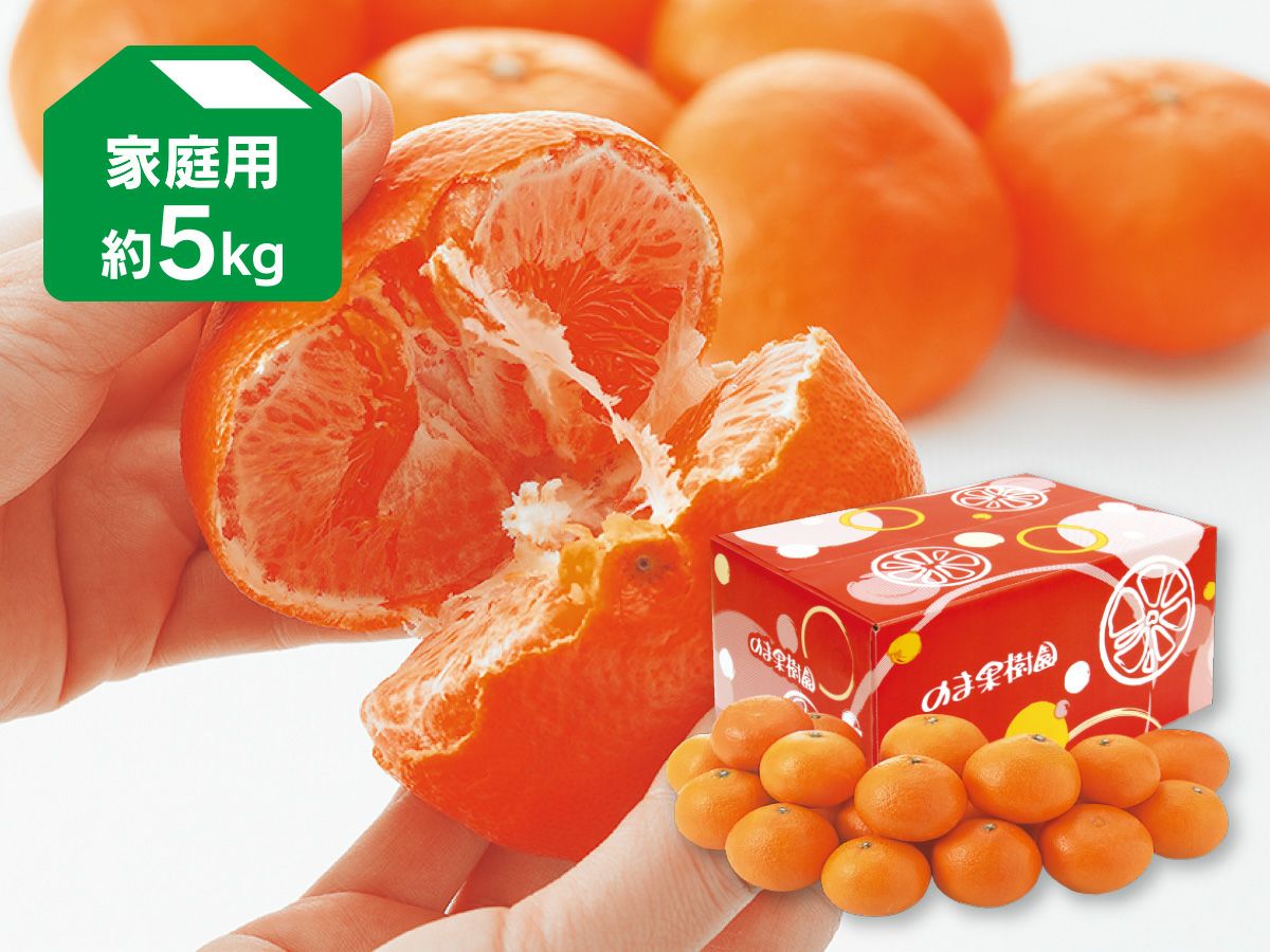 000000000495-04.jpg?size=m&w=