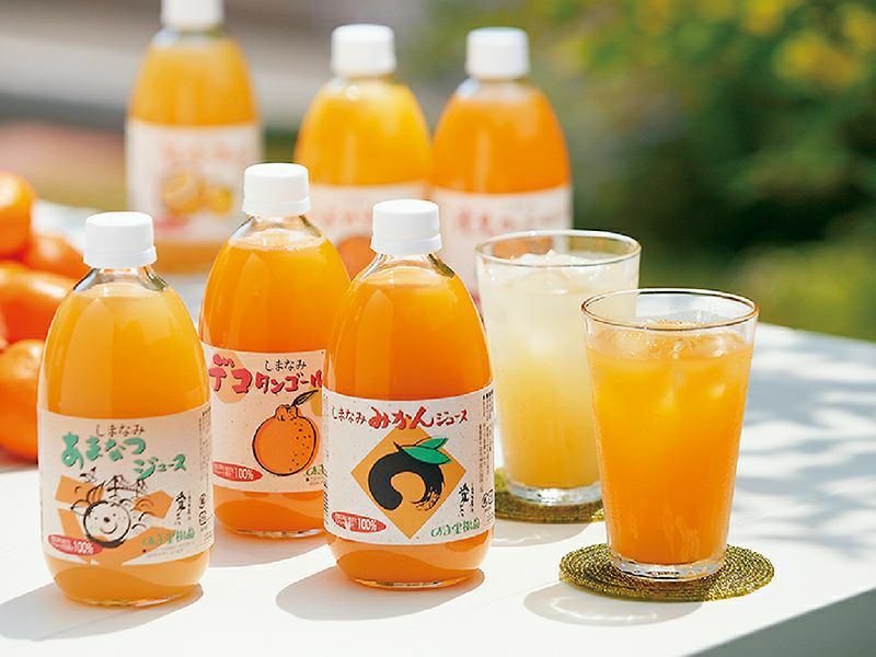 しまなみみかんジュース（1000ml×6本入）×6箱 まとめ買い | のま果樹園