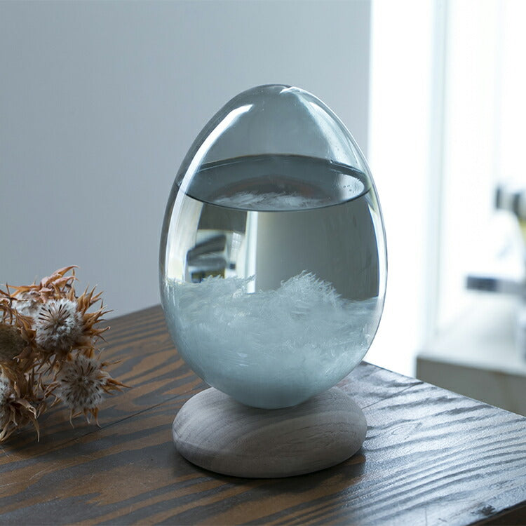 テンポパルス ドーン Tempo Pulse DAWN ストームグラス 100percent 卵