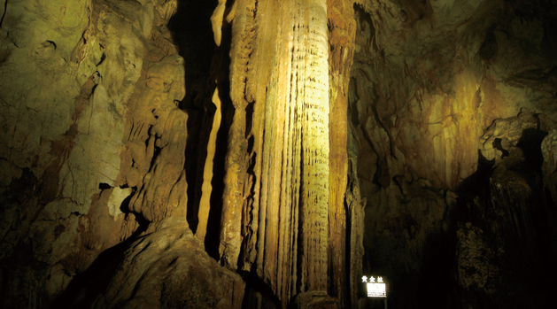 特別天然記念物 秋芳洞 | 【公式】山口県美祢市 秋吉台国定公園 観光情報