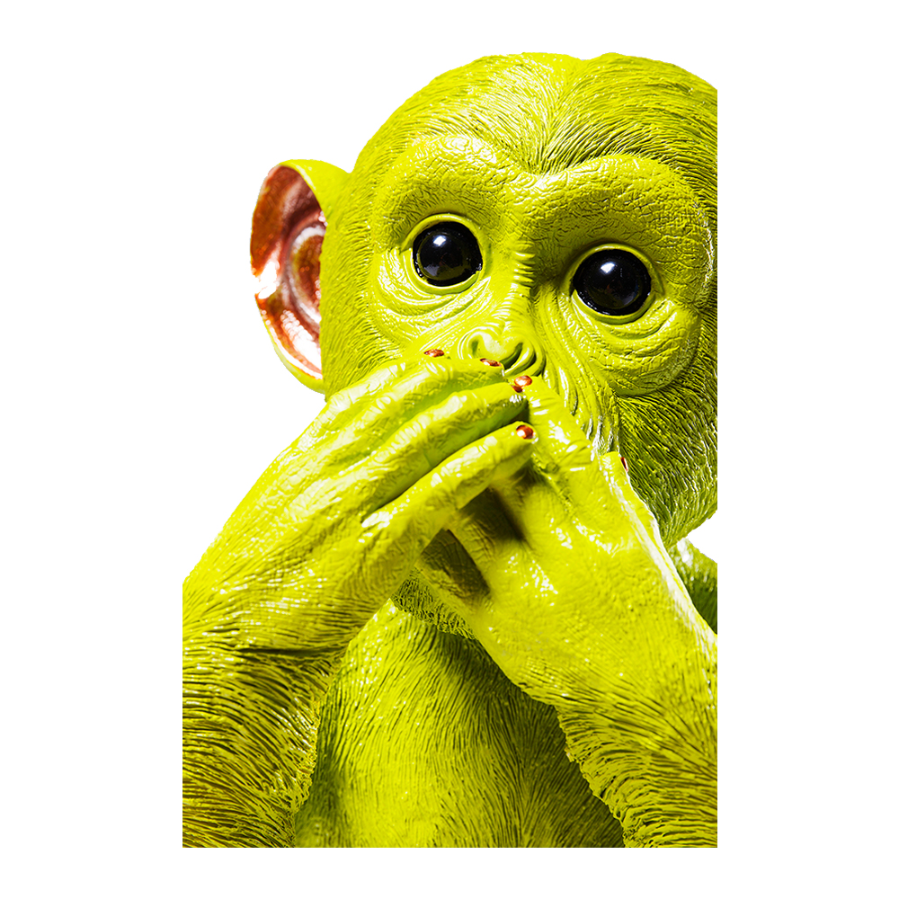 モンキーイワザルライム マネーボックス - 貯金箱の通販 ｜【KARE