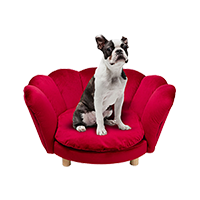 廃番】フラワーボート ゴールドレッド100x80cm タッチドピクチャー