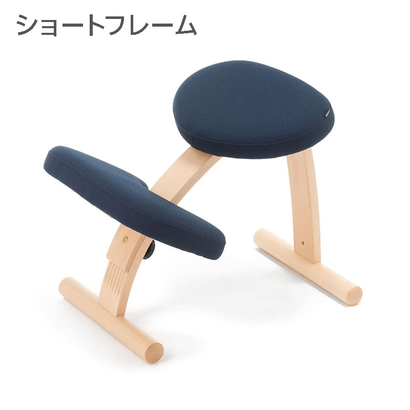 バランスラボ バランス イージー (通常フレーム) ラクに姿勢がよくなる