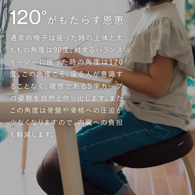 バランスラボ バランス イージー (通常フレーム) ラクに姿勢がよくなる