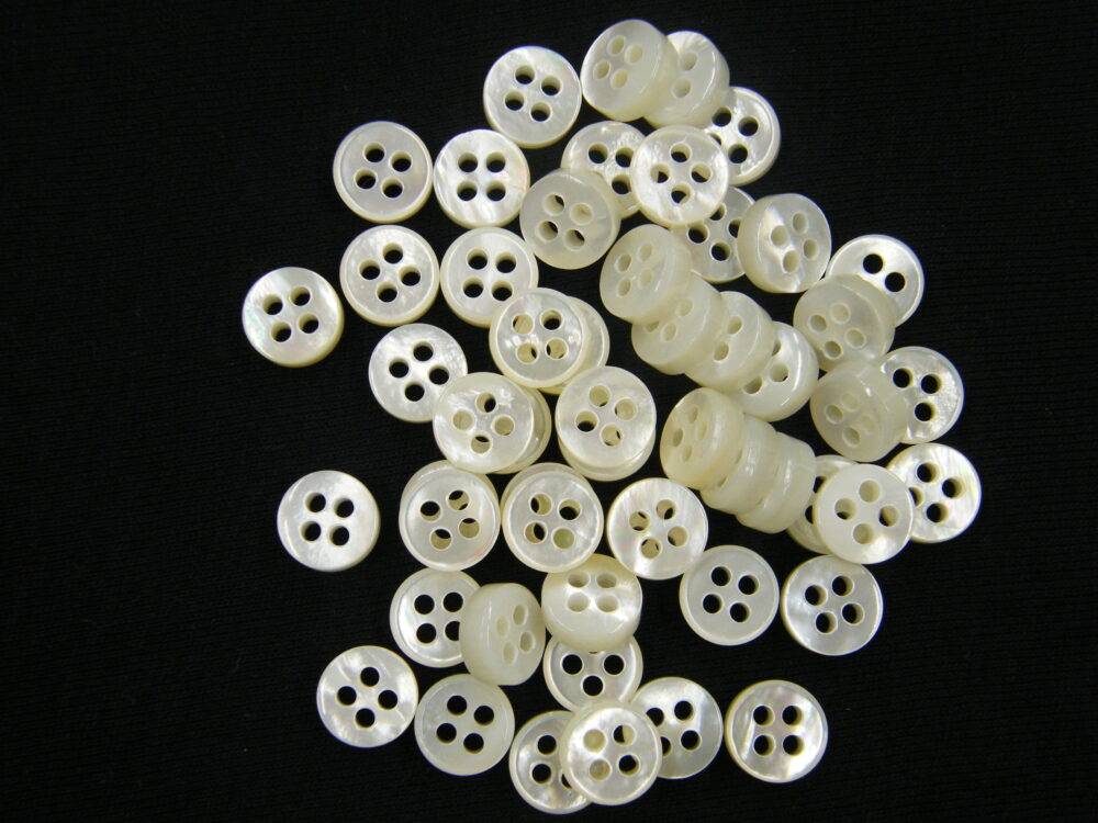 白蝶貝 | 川西ボタン倶楽部