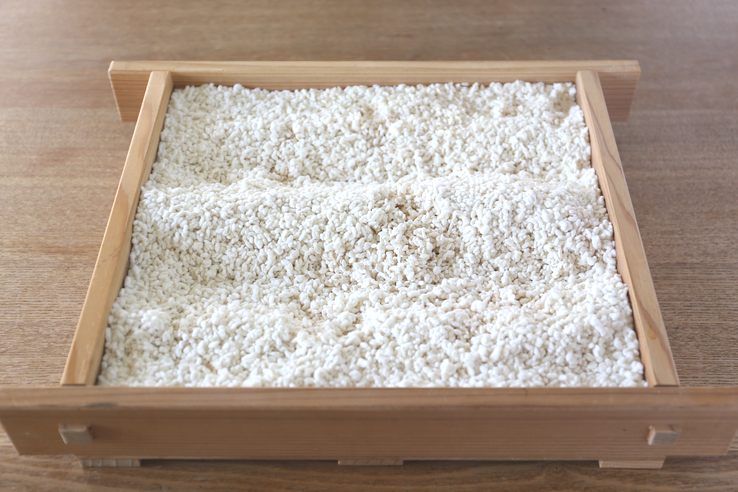 家庭用 麹発酵器セット PF203-48H【米麹や自家製酵母作りに最適】