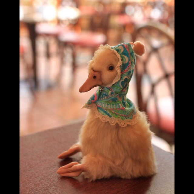 KayJam - Arts & Crafts web Gallery