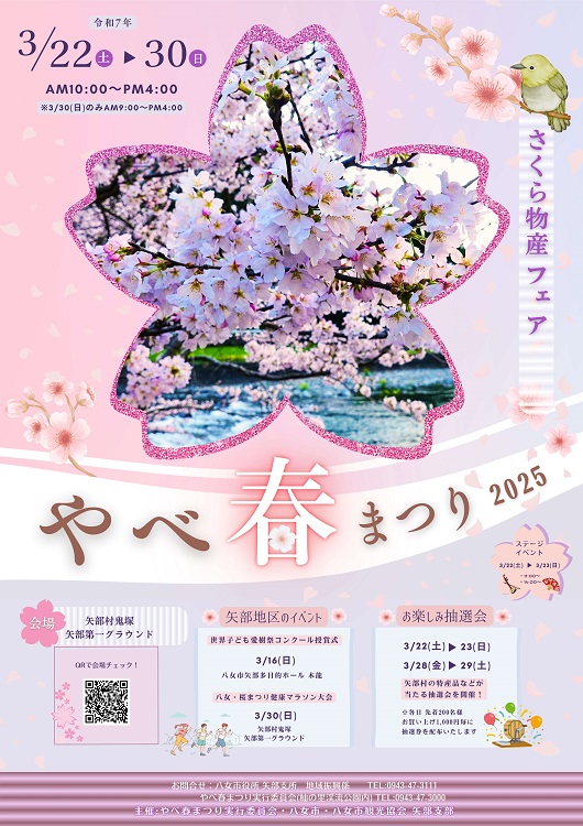 4/6（日）まで延長！『やべ春まつり』 日向神ダムの千本桜が満開です