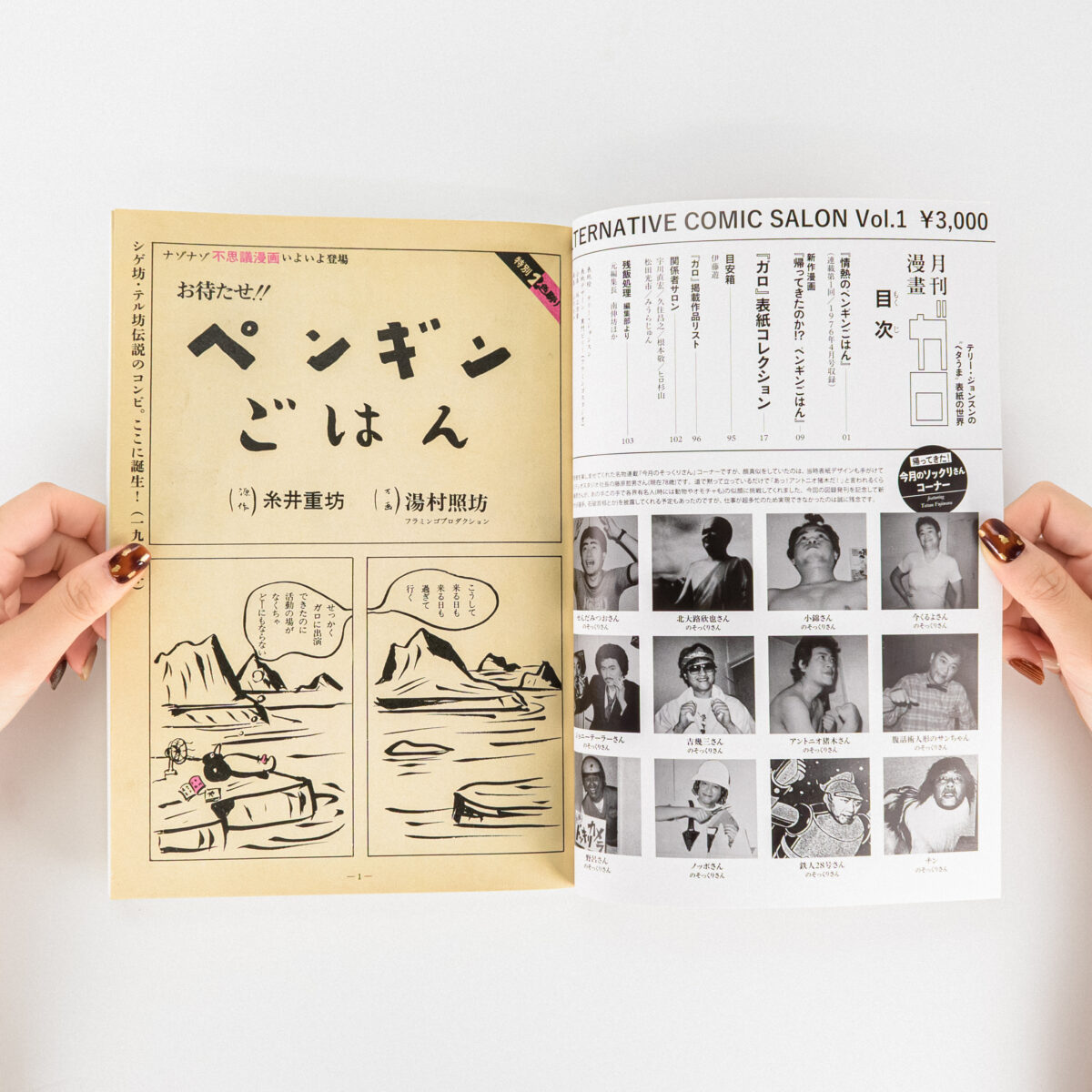 ALTERNATIVE COMIC SALON Vol.1『月刊漫画ガロ』 テリー・ジョンスンの