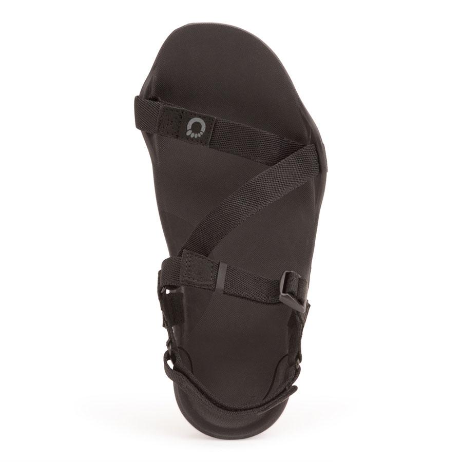 株式会社ケンコー社 / M's Z-トレック