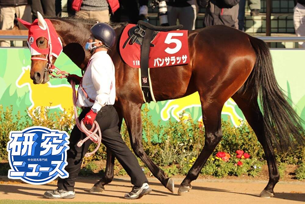 第96回 中山記念 回顧 | 競馬 研究ニュース