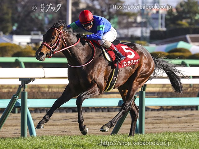 第96回 中山記念 回顧 | 競馬 研究ニュース