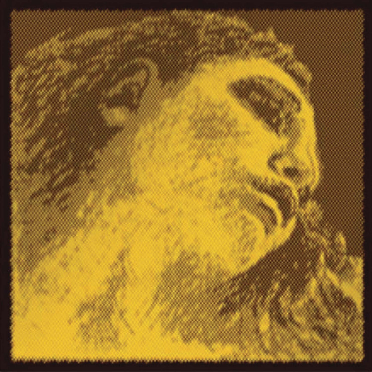 Pirastro Evah Pirazzi Gold Violin String Set | Kennedy Violins