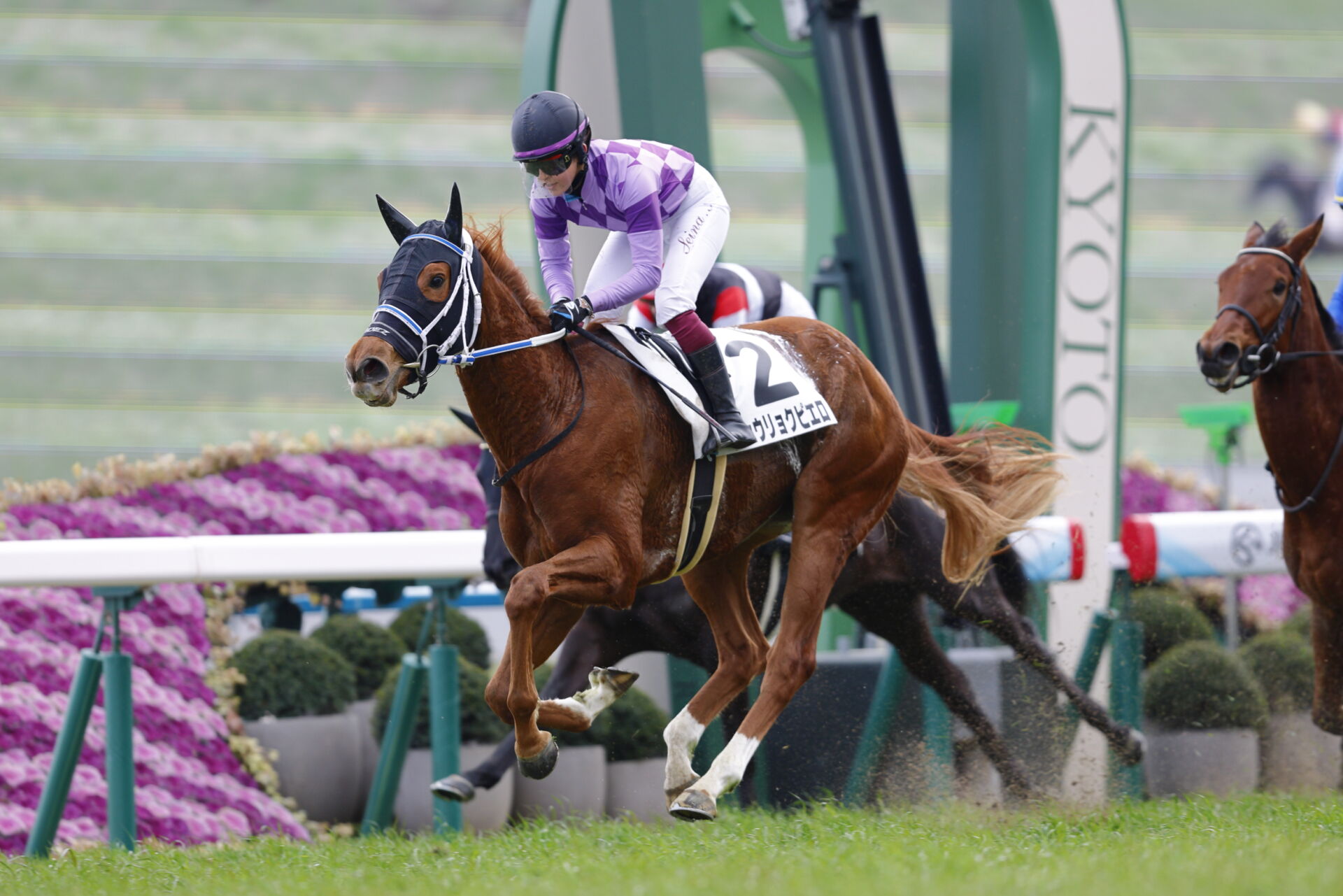京都6R】今村聖奈が2026年の初勝利 | 競馬ニュースなら競馬のおはなし