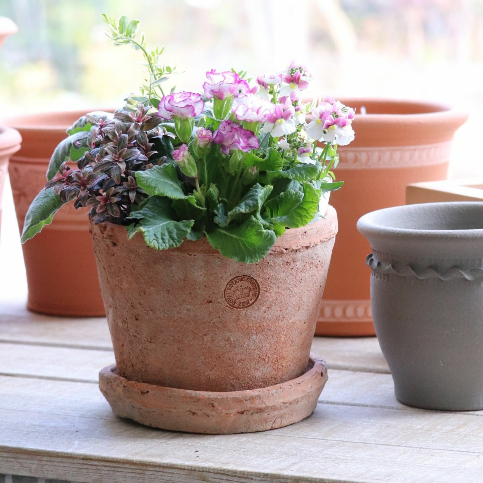 ランカキュー植木鉢/テラ グレー 鉢皿付き | バラと庭あそび京阪園芸