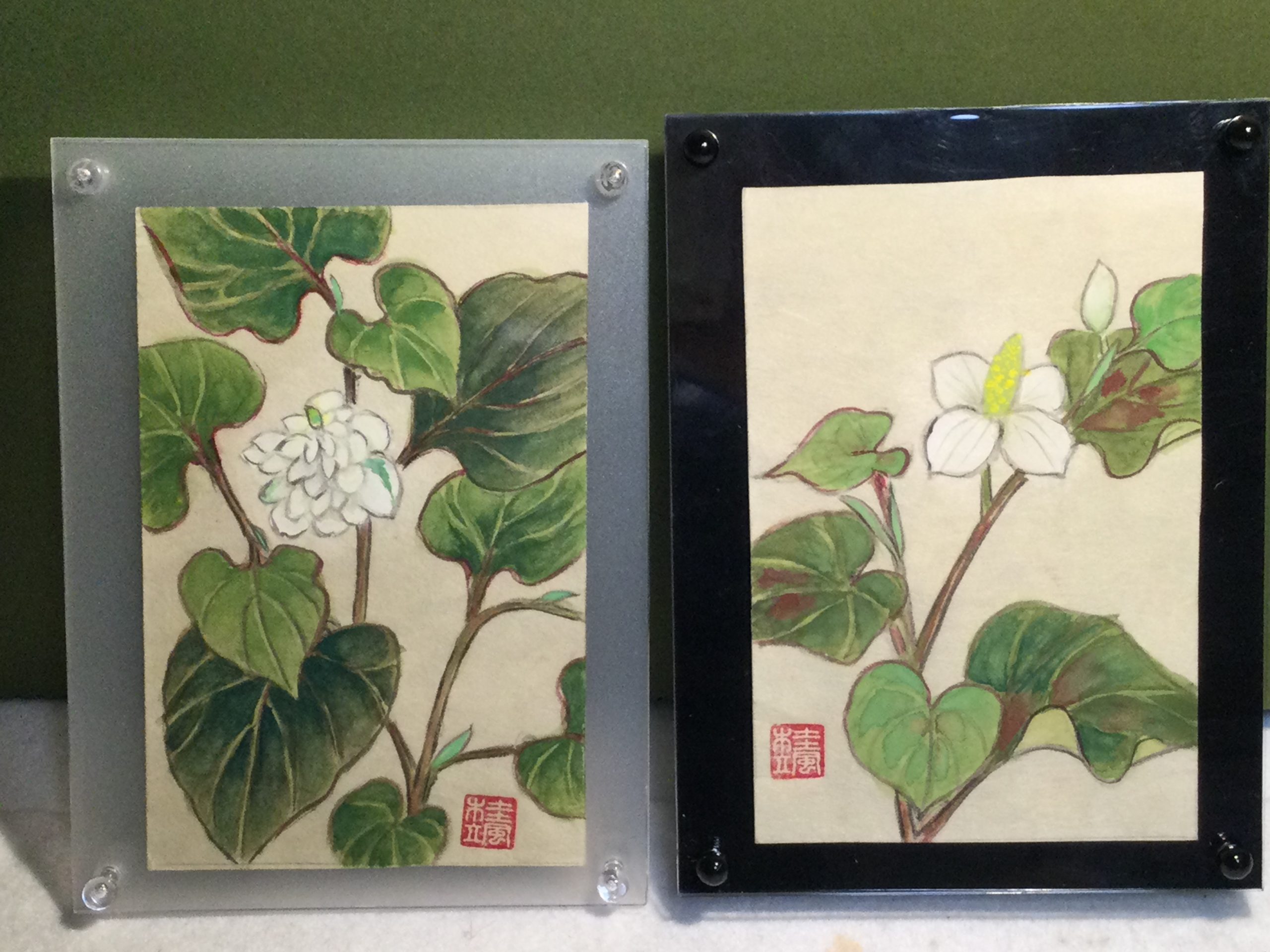 墨彩画作品集 どくだみのハガキ絵】どくだみの強さを学ぶ | さわやか墨