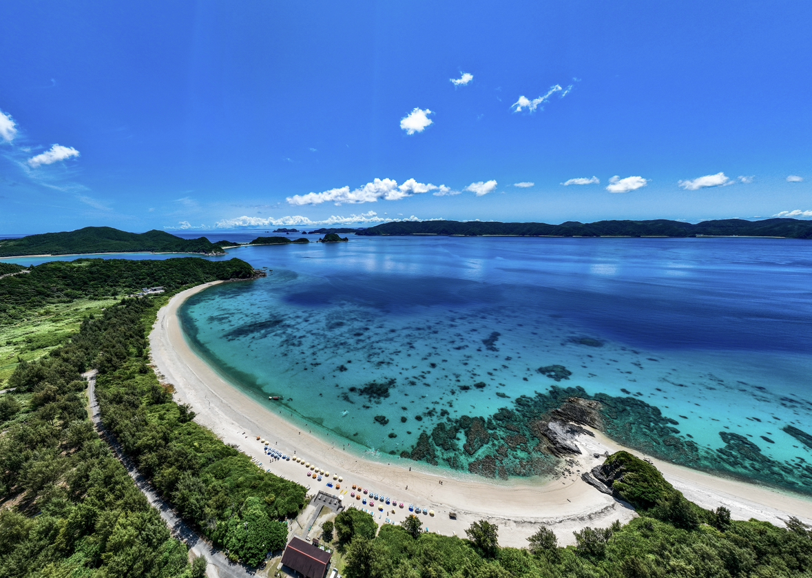 座間味島でダイビングを楽しむための完全ガイド！シーズン別の魅力や