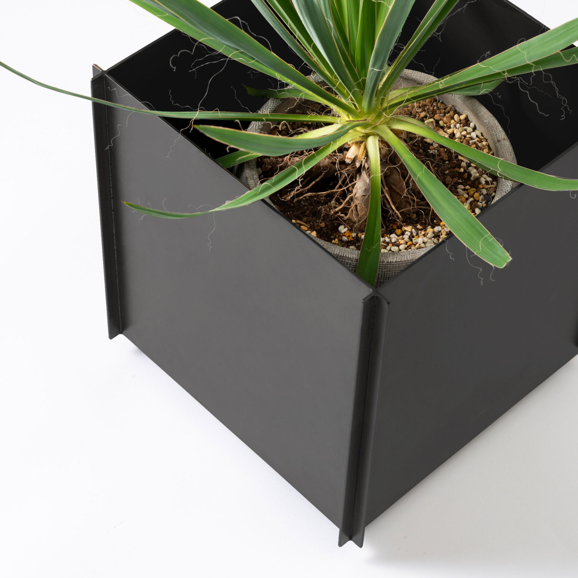 プラントボックス「鉄鉢」 | KATZDEN