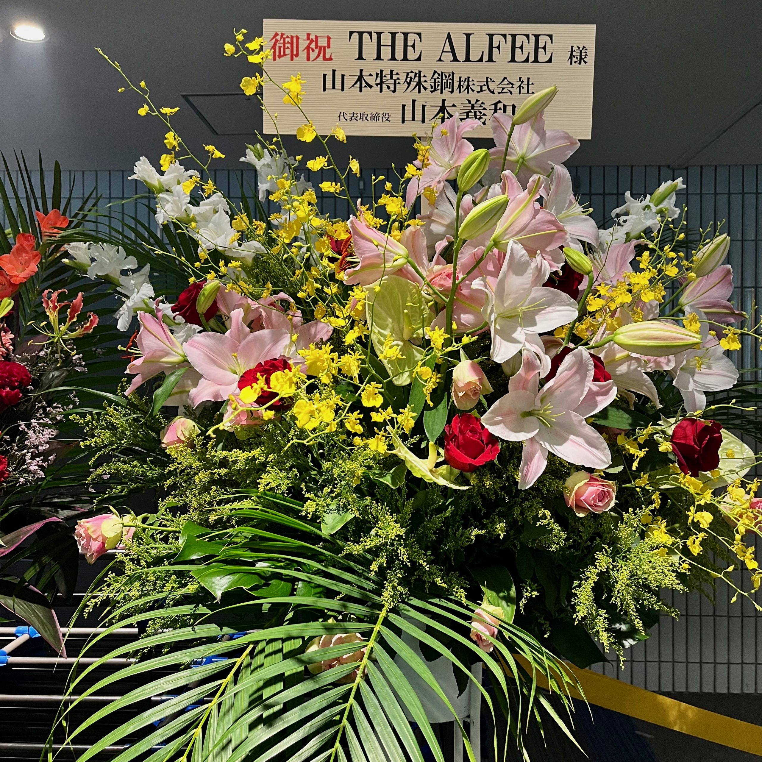 2023 THE ALFEE 風の時代 夏 2日目 セトリ | ギターと生活ブログ