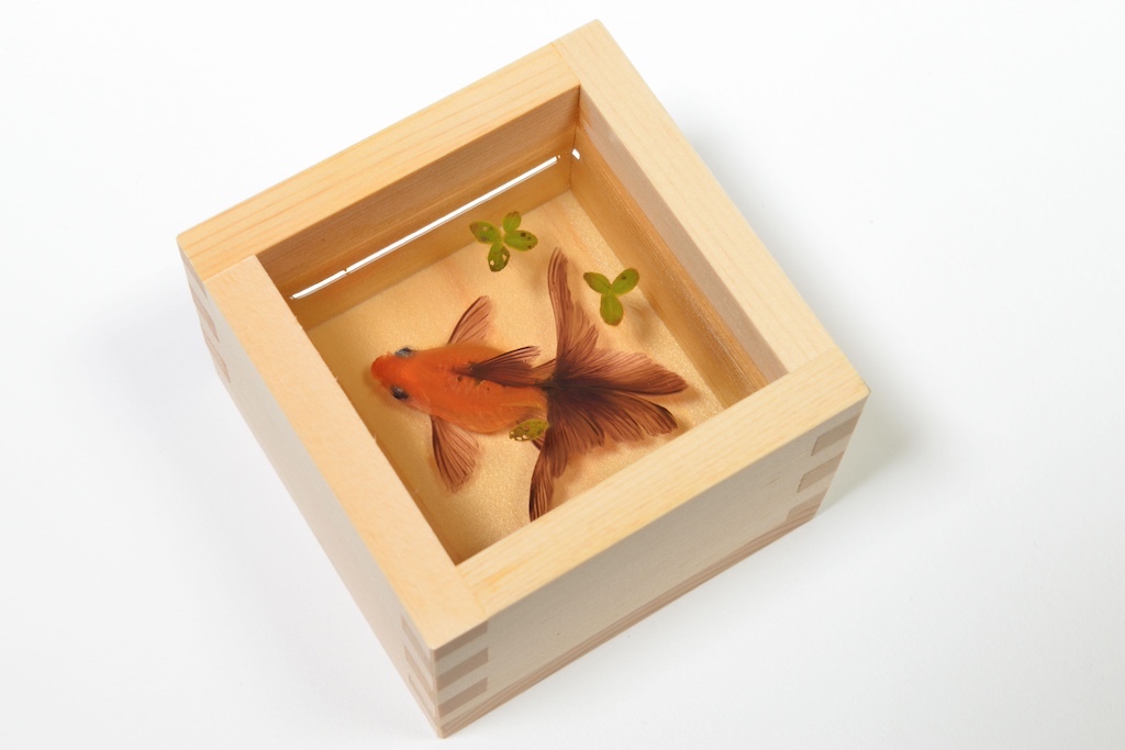 金魚が題材のアート展と銀座 蔦屋書店がコラボ | きもの苑