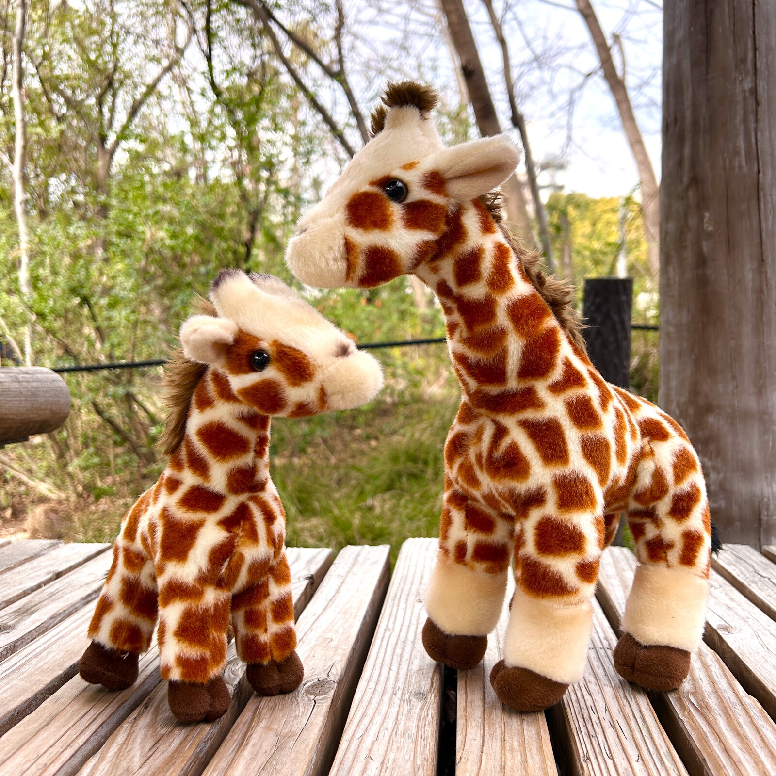 天王寺動物園限定！キリンぬいぐるみが新発売！！ | 【近鉄】駅ナカ