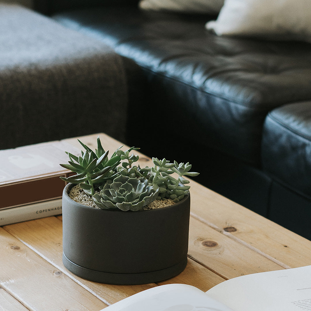 KINTO PLANT POT – Minimal Ceramic Planter for Modern Spaces