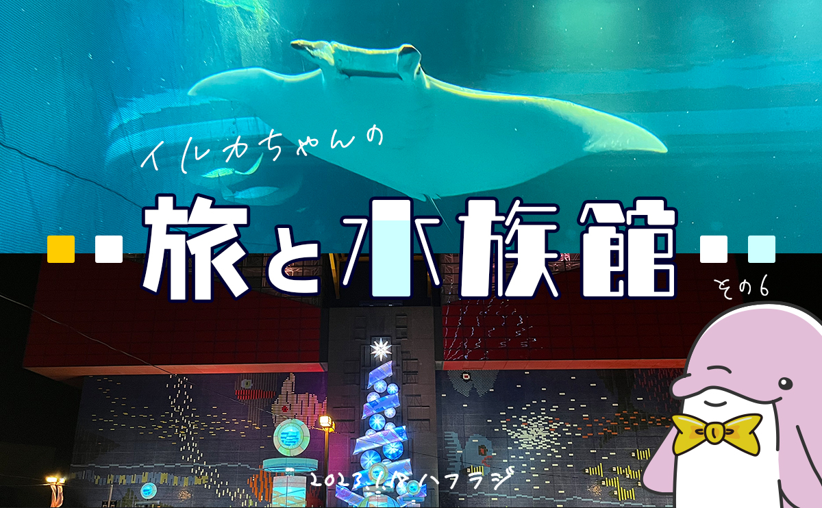 イルカちゃんの旅と水族館】Vol.6 海遊館 | Kinkadesign-可愛くて
