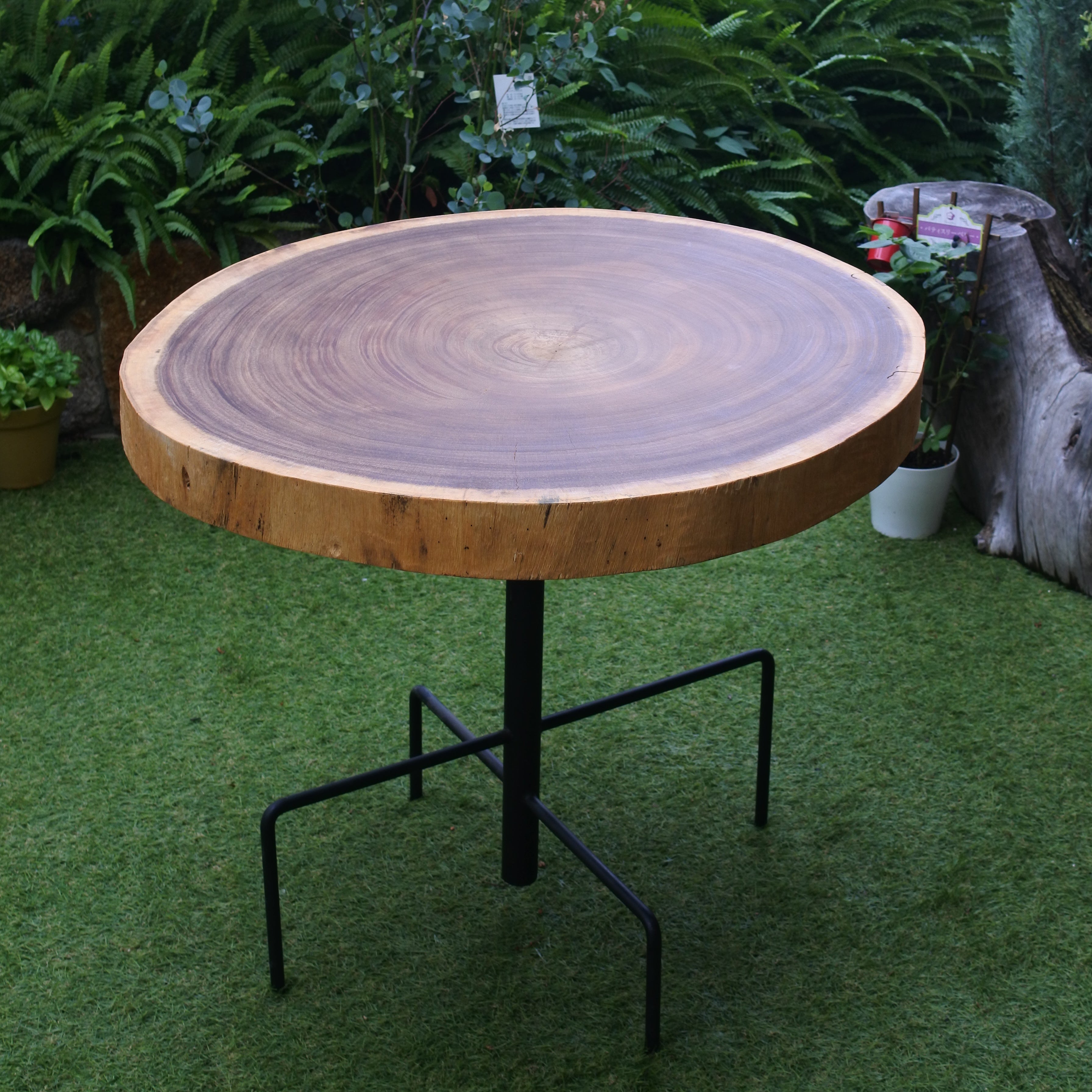 54．モンキーポッド 輪切り｜ミニテーブル – 木の物語工房