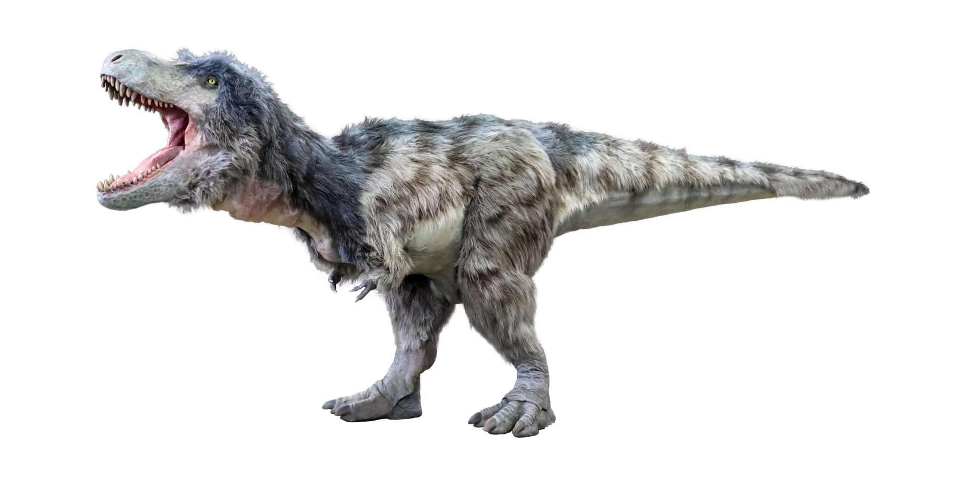 恐竜ライブ「DINO SAFARI 2025」】ブラキオサウルスが渋谷ヒカリエ初