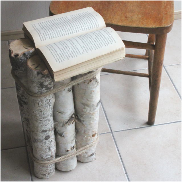 白樺の木・枝、ディスプレイ用木の販売・通販|木のアートきごころARBO