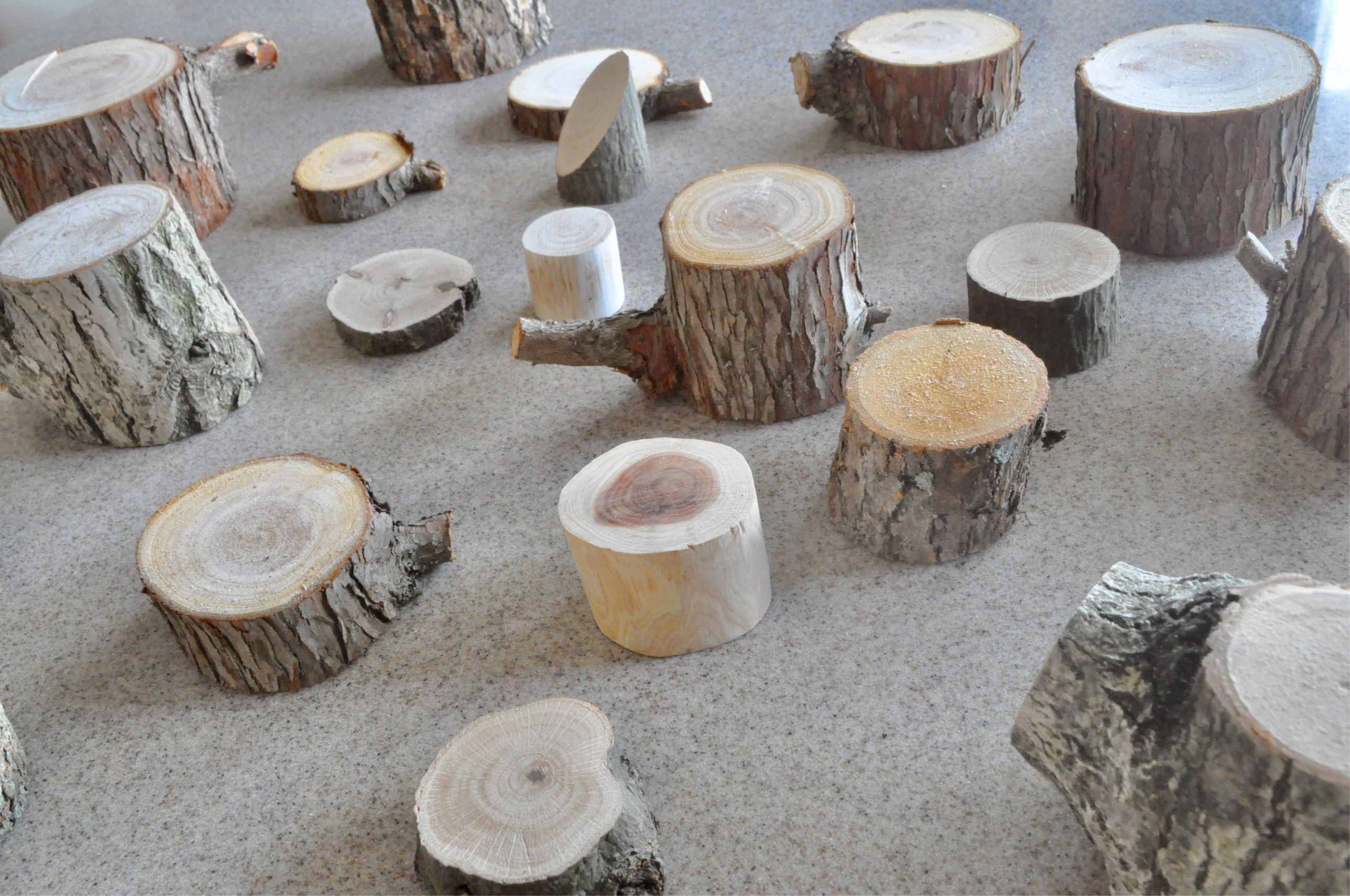 きりかぶ工房 /ミニ切り株