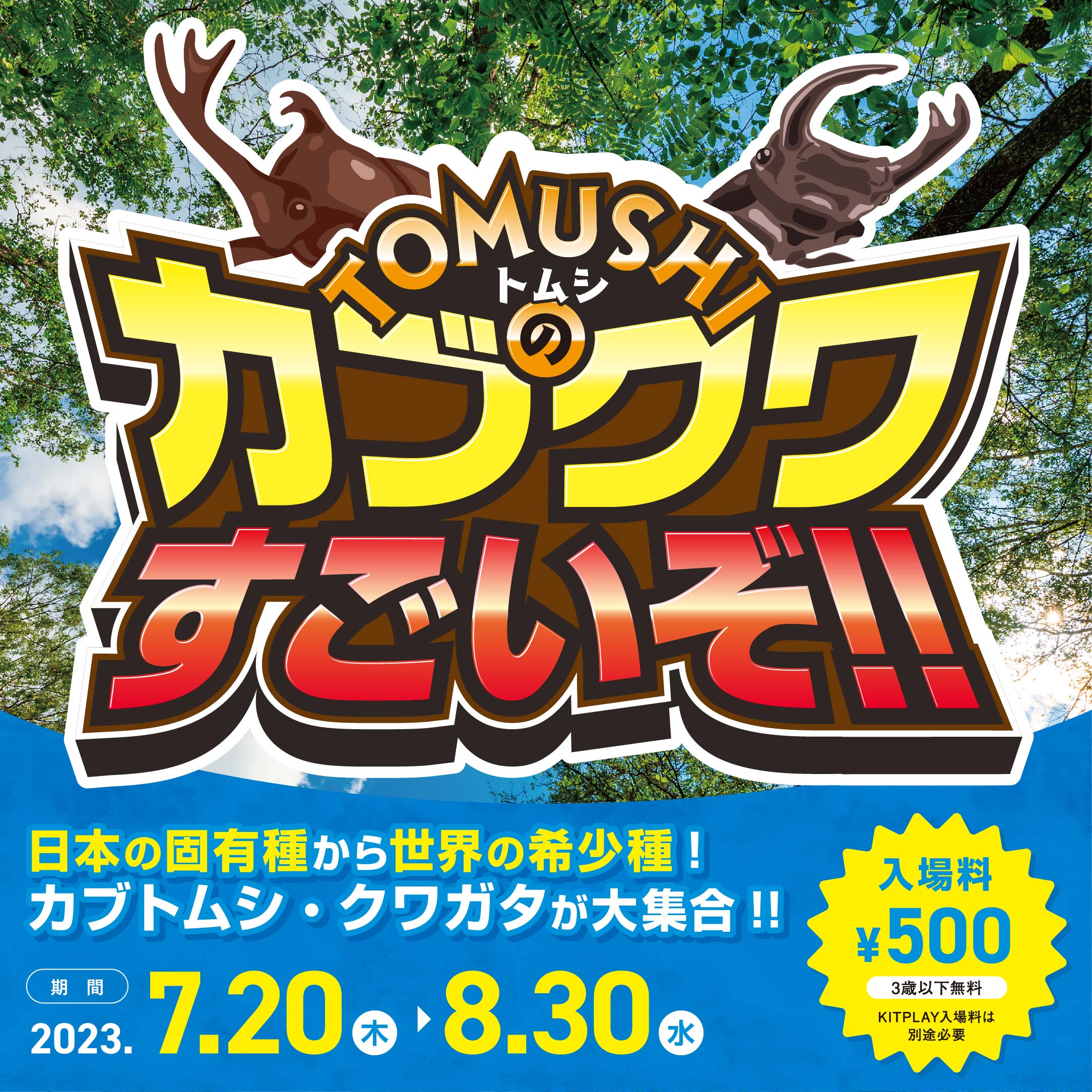 KITPLAY」に世界の希少種、日本の固有種カブトムシ・クワガタが大集合