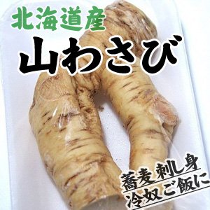 北海道産山わさび(70〜100g) 5パックセット | 吉粋(きっすい) 北海道